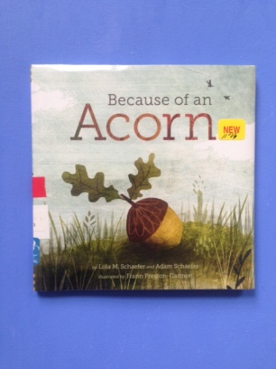 Because of an Acorn by Lola M. Schaefer and Adam Schaefer and illustrated by Preston Gannon